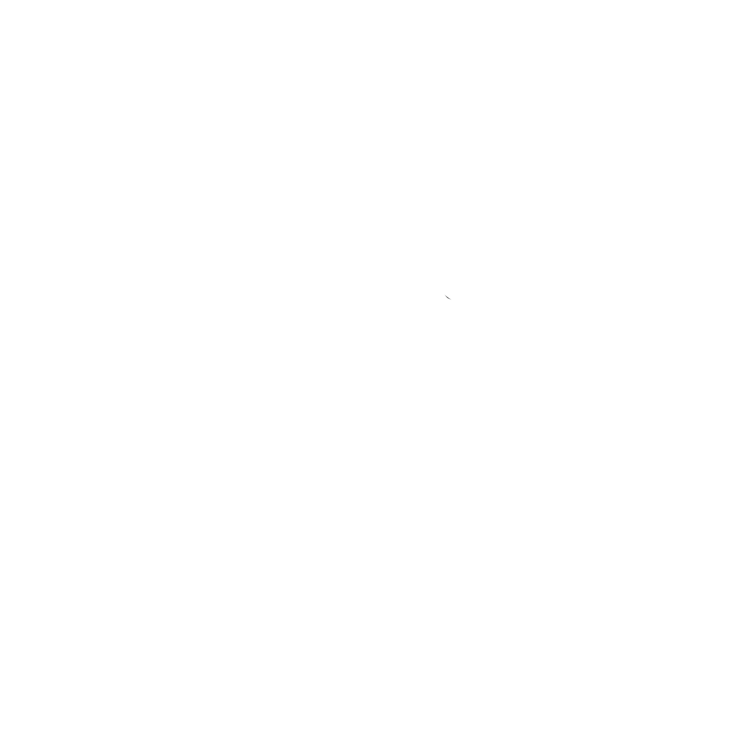 Jet Ventures Logo